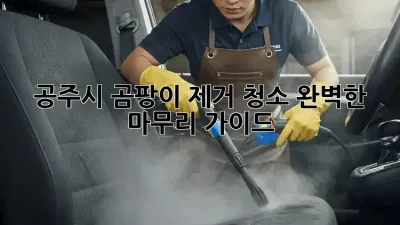 공주시 곰팡이 제거 청소: 완벽한 마무리 가이드